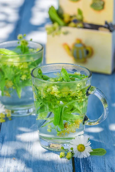 Healthy linden tea with honey with in sunny day — 스톡 사진