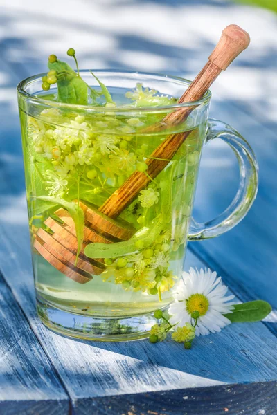 Té de tilo fresco con miel en un día soleado — Foto de Stock