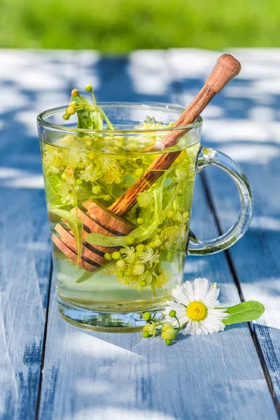 Healing tea with honey with in summer — Stock Photo, Image