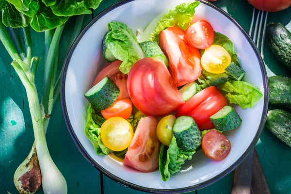 Свіжий вегетаріанський салат з теплиці — стокове фото