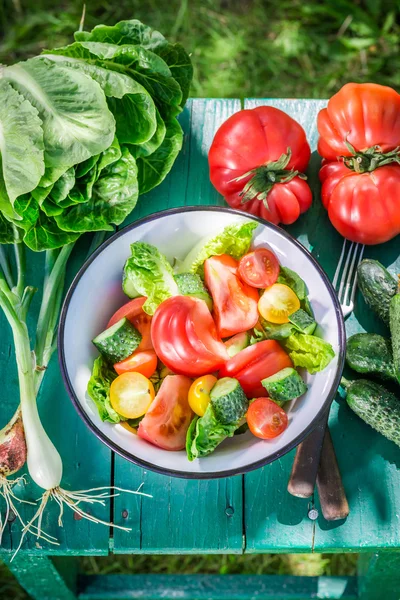 Fresh vegetarian salad from countryside — Stock Photo, Image