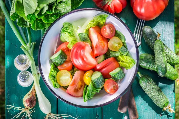 Fresh vegetarian salad in sunny day — Stock Photo, Image