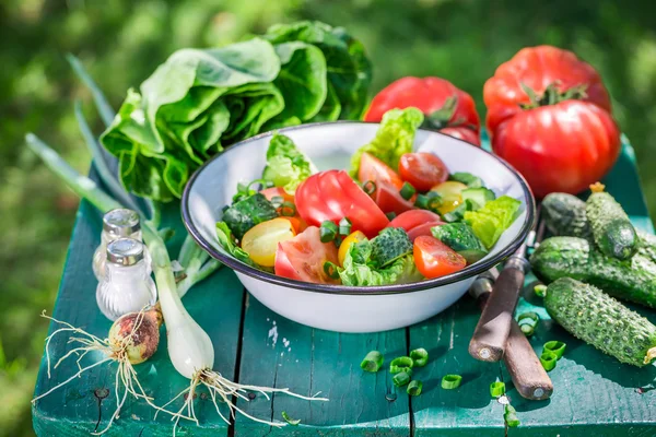 Здоровий вегетаріанський салат в саду — стокове фото