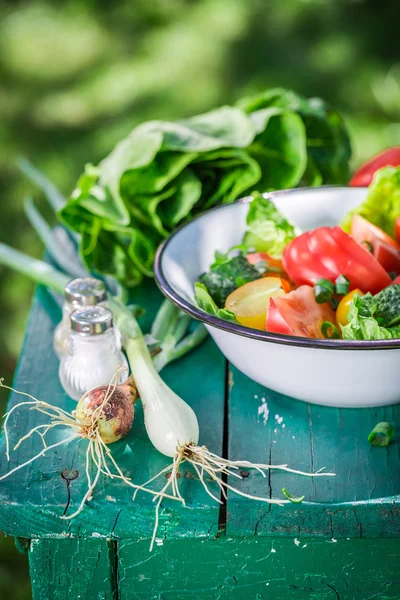 Salada vegetariana saudável em dia ensolarado — Fotografia de Stock