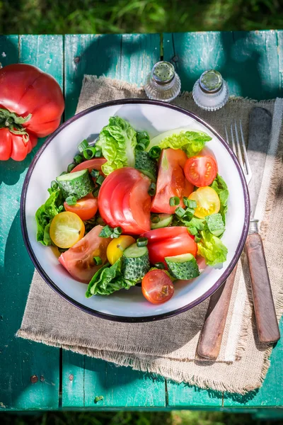 Домашний вегетарианский салат из деревни — стоковое фото