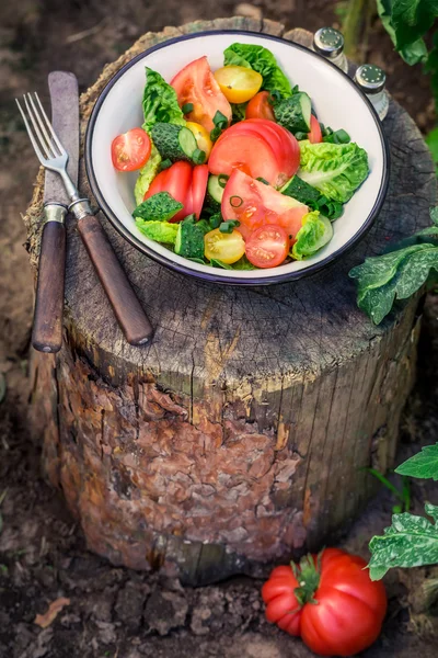 Барвистий вегетаріанський салат з сільської місцевості — стокове фото