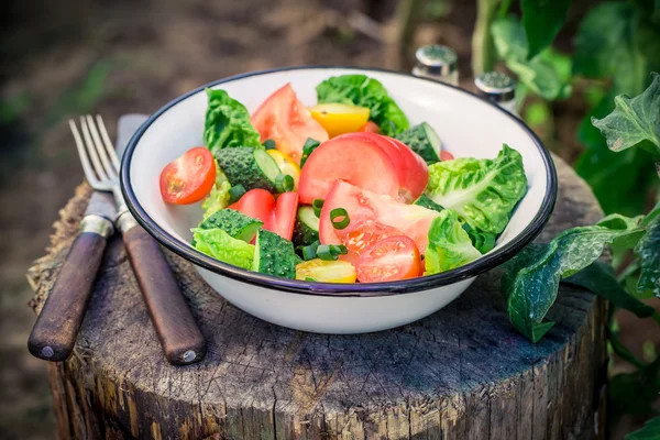 Bunter vegetarischer Salat im Garten — Stockfoto
