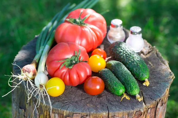 Healthy mix vegetables from greenhouse — Stock Photo, Image