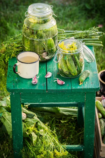 Cetriolini fatti in casa in vaso — Foto Stock