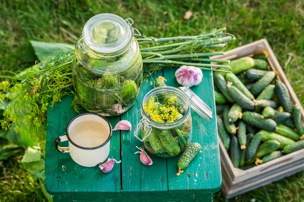 Homemade gherkins in garden — Stock Photo, Image