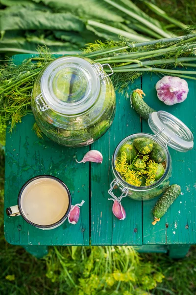 Fresh gherkins in the countryside — Stock Photo, Image