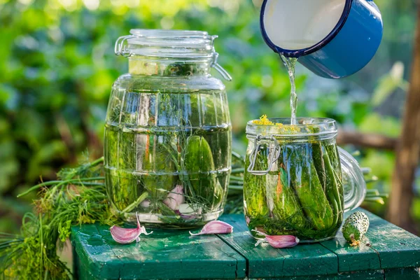 Ingredients for gherkins in jar — Stock Photo, Image