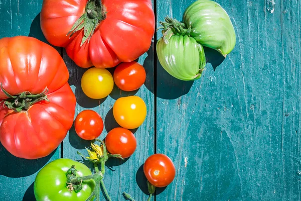 Здорові помідори в сільській місцевості — стокове фото