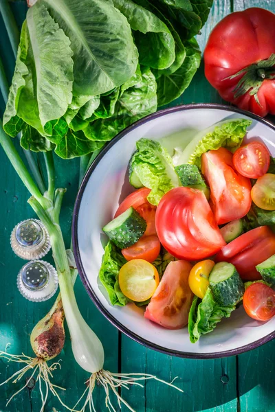 Свіжий вегетаріанський салат в сонячному саду — стокове фото