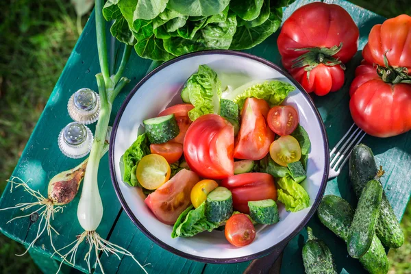 Salade végétarienne fraîche dans le jardin — Photo