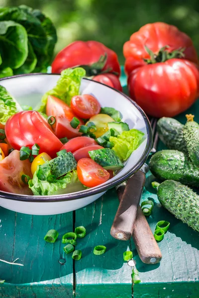 Вегетарианский салат из теплицы — стоковое фото