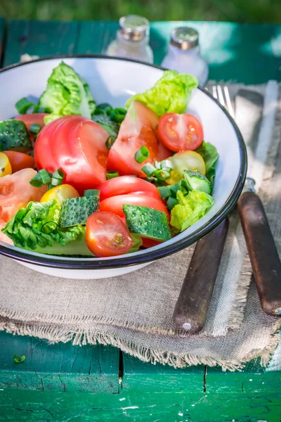 Hausgemachter vegetarischer Salat an sonnigen Tagen — Stockfoto