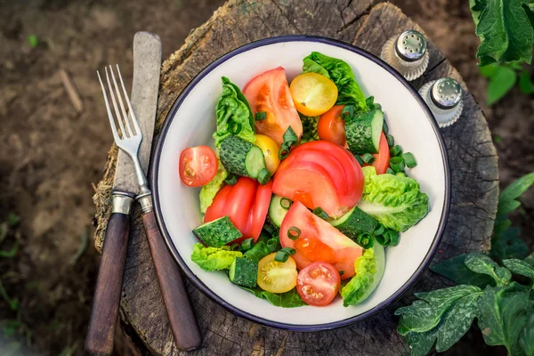 Homemade vegetarian salad in sunny garden — Stock Photo, Image