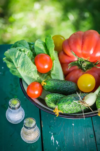 Здорові овочі з сільської місцевості — стокове фото
