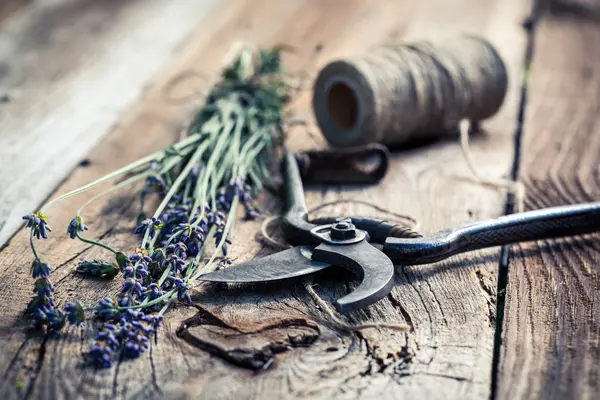 Aromatische lavendel op oude houten tafel — Stockfoto
