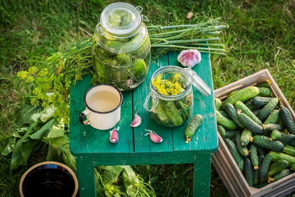 Homemade gherkins in the countryside — Stock Photo, Image