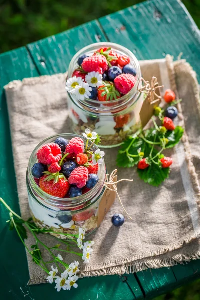 Tasty muesli with berry fruits and yogurt in garden — Stock Photo, Image
