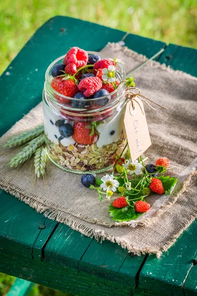Вкусная гранола с йогуртом и ягодами в саду — стоковое фото