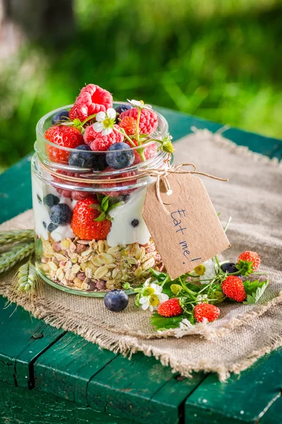 Tasty granola with berry fruits and yogurt in garden — Stock Photo, Image