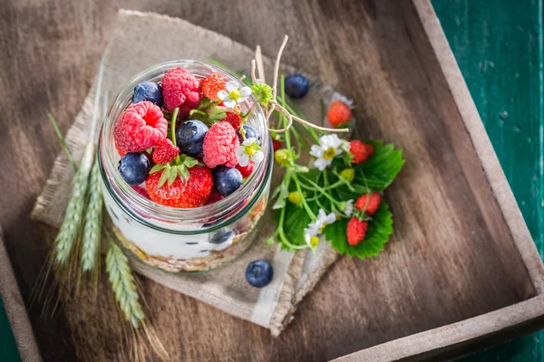 Здоровый завтрак с йогуртом и ягодами в саду — стоковое фото