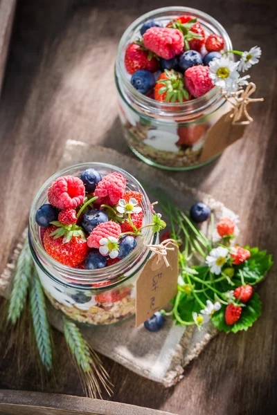 Muesli saudável com frutas de baga e iogurte em dia ensolarado — Fotografia de Stock