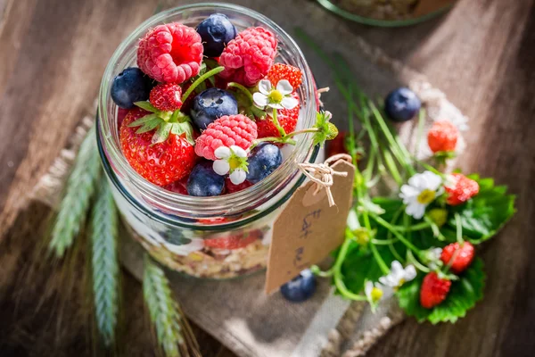 Здоровая гранола с йогуртом и ягодами в саду — стоковое фото
