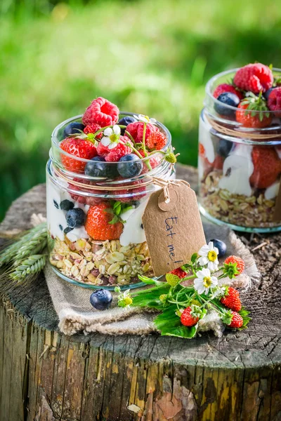 Healthy granola with berry fruits and yogurt in garden — Stock Photo, Image