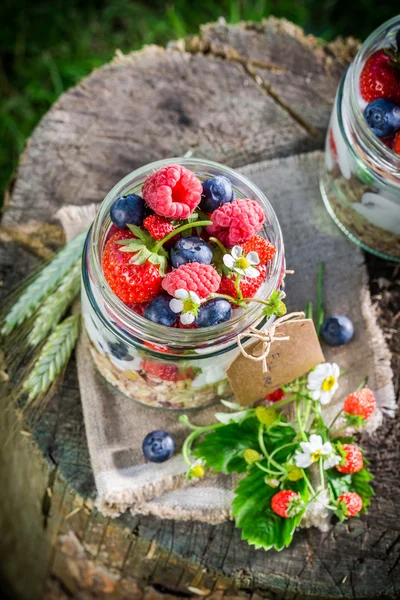 Colazione fresca con yogurt e frutti di bosco nella giornata di sole — Foto Stock