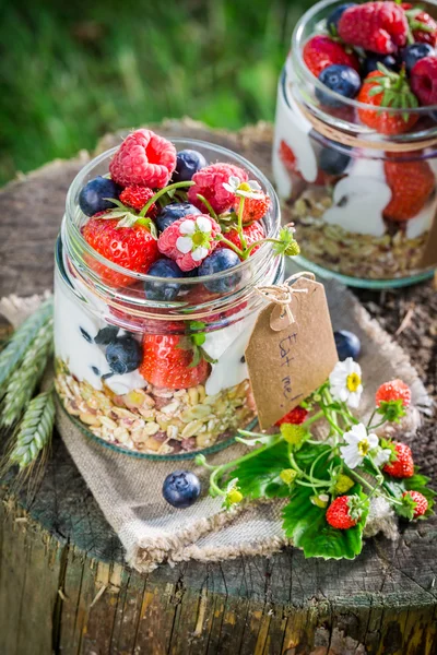 Свежий завтрак с ягодами и йогуртом в саду — стоковое фото
