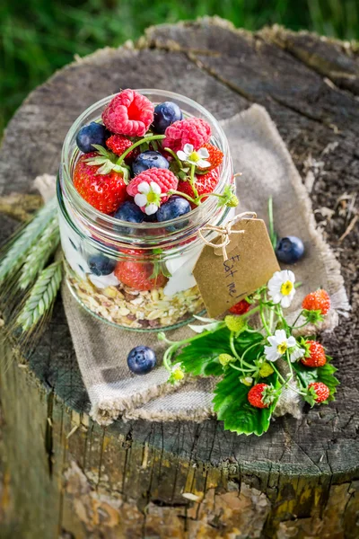 Muesli freschi con yogurt e frutti di bosco in giardino — Foto Stock