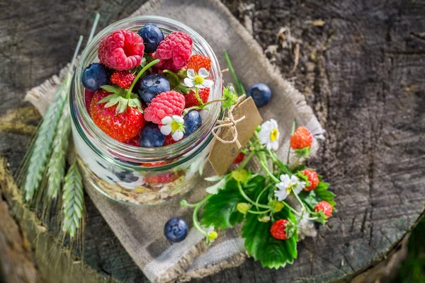 Fresh muesli with berry fruits and yogurt in garden — Stock Photo, Image