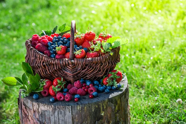 Varias frutas de bayas en el día soleado —  Fotos de Stock