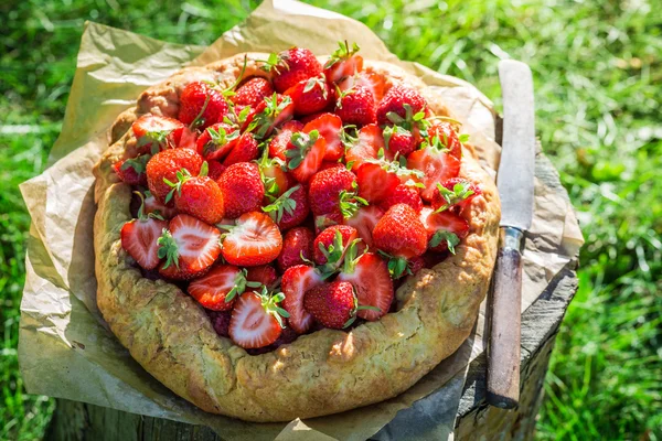 Leckere Torte mit Erdbeeren im Garten — Stockfoto