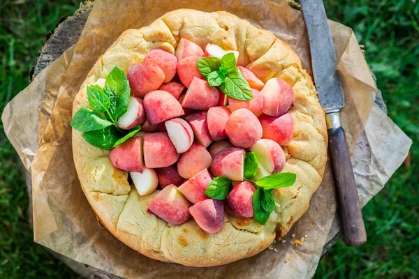 Smakelijke perzik taart in tuin — Stockfoto
