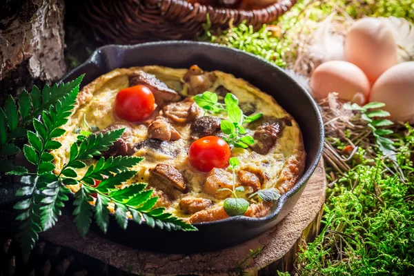 Tasty scrambled eggs on moss in forest — Stock Photo, Image