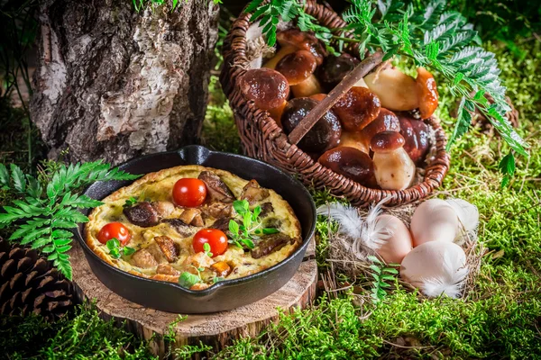 Sabrosos huevos revueltos en el bosque al amanecer —  Fotos de Stock