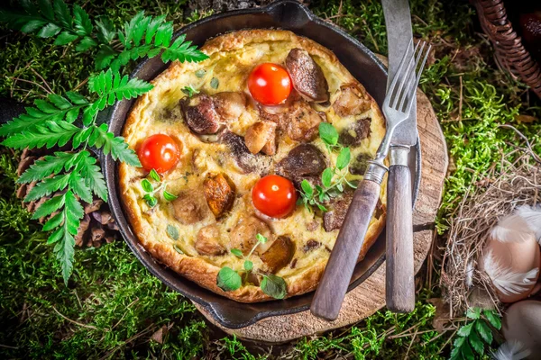 Tasty fried eggs in forest at sunrise — Stock Photo, Image