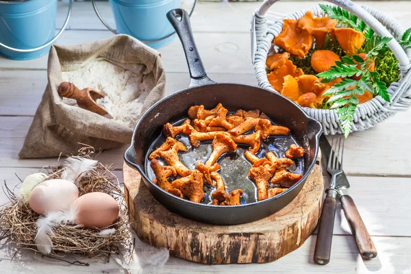 Homemade wild mushrooms on pan — Stock Photo, Image