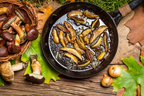 Champiñones recién fritos directamente del bosque —  Fotos de Stock