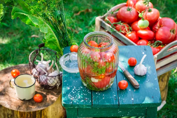 Homemade canned tomatoes in the garden — Stock Photo, Image