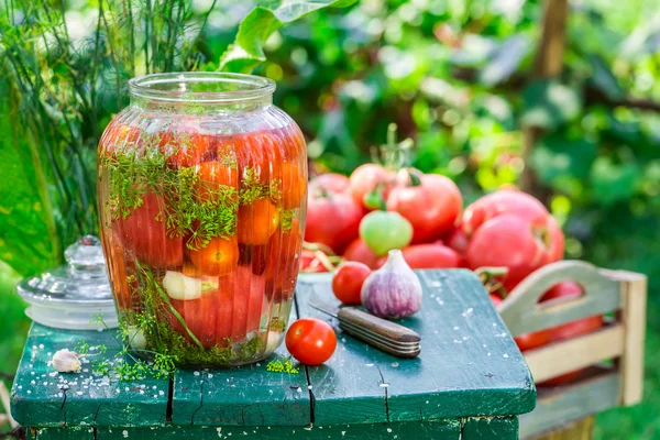 Натуральные консервированные помидоры в банке — стоковое фото