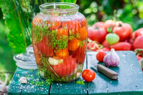 Tomates enlatados naturais no jardim — Fotografia de Stock