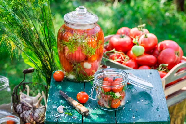 Natural pickled tomatoes in the jar — Stock Photo, Image