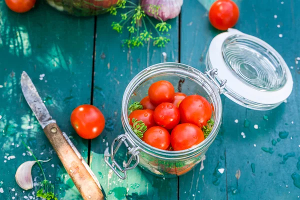 Natürliche eingelegte Tomaten im Garten — Stockfoto