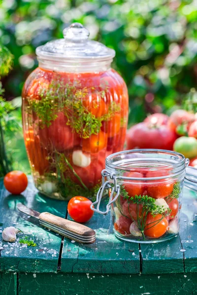 Preparação para tomates em conserva no frasco — Fotografia de Stock